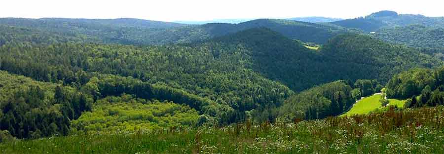 wald2 big-smaller