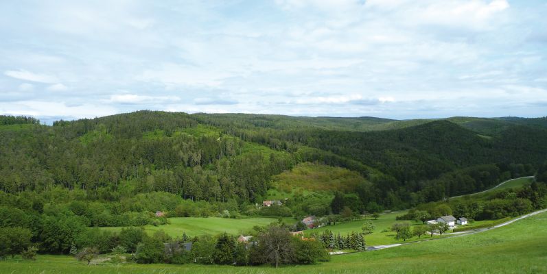 Wald-Istzustand